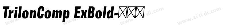 TrilonComp ExBold字体转换